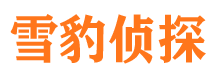 鼓楼市私家侦探